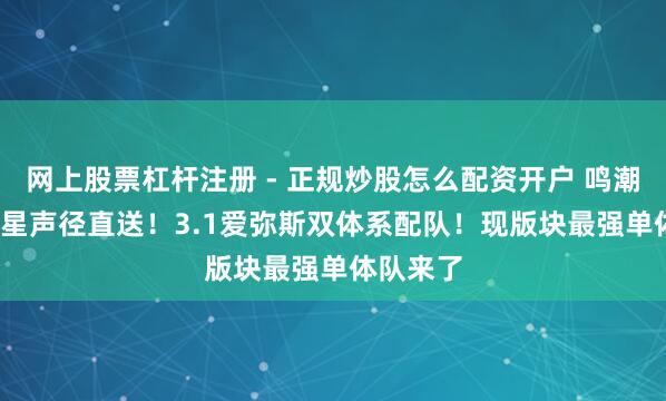 网上股票杠杆注册 - 正规炒股怎么配资开户 鸣潮：1600星声径直送！3.1爱弥斯双体系配队！现版块最强单体队来了